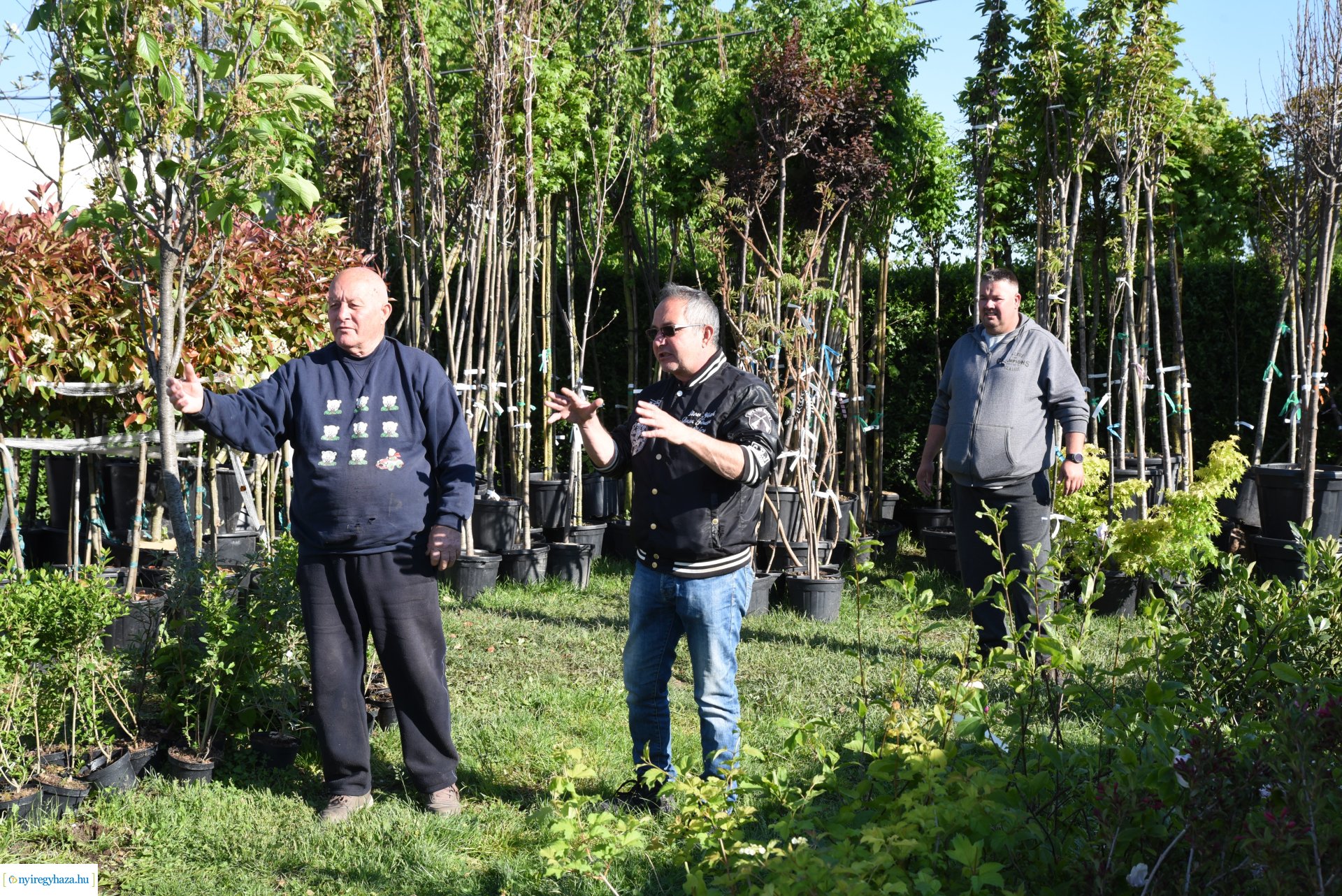 Ültess egy fát a holnapért! - növények átvétele a Nyírvv-nél 2024