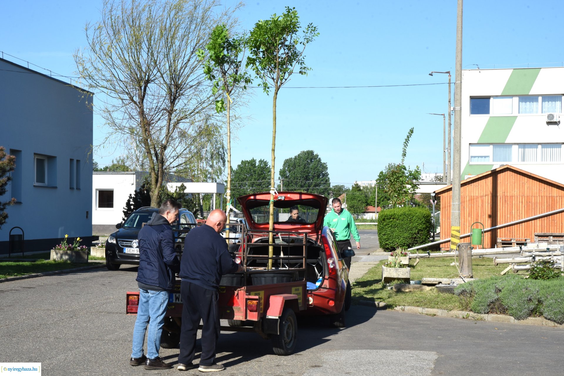 Ültess egy fát a holnapért! - növények átvétele a Nyírvv-nél 2024