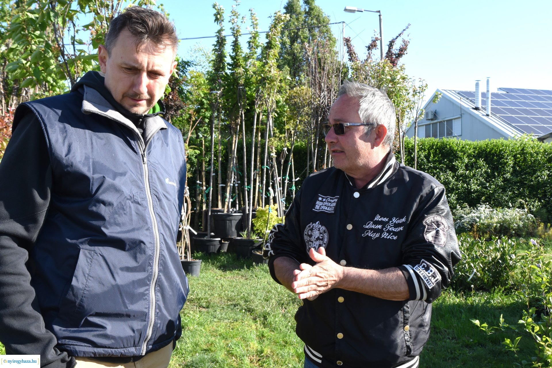 Ültess egy fát a holnapért! - növények átvétele a Nyírvv-nél 2024