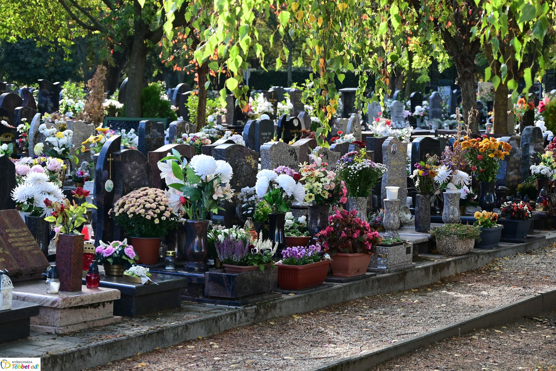 Ünnepi előkészületek az Északi Temetőben