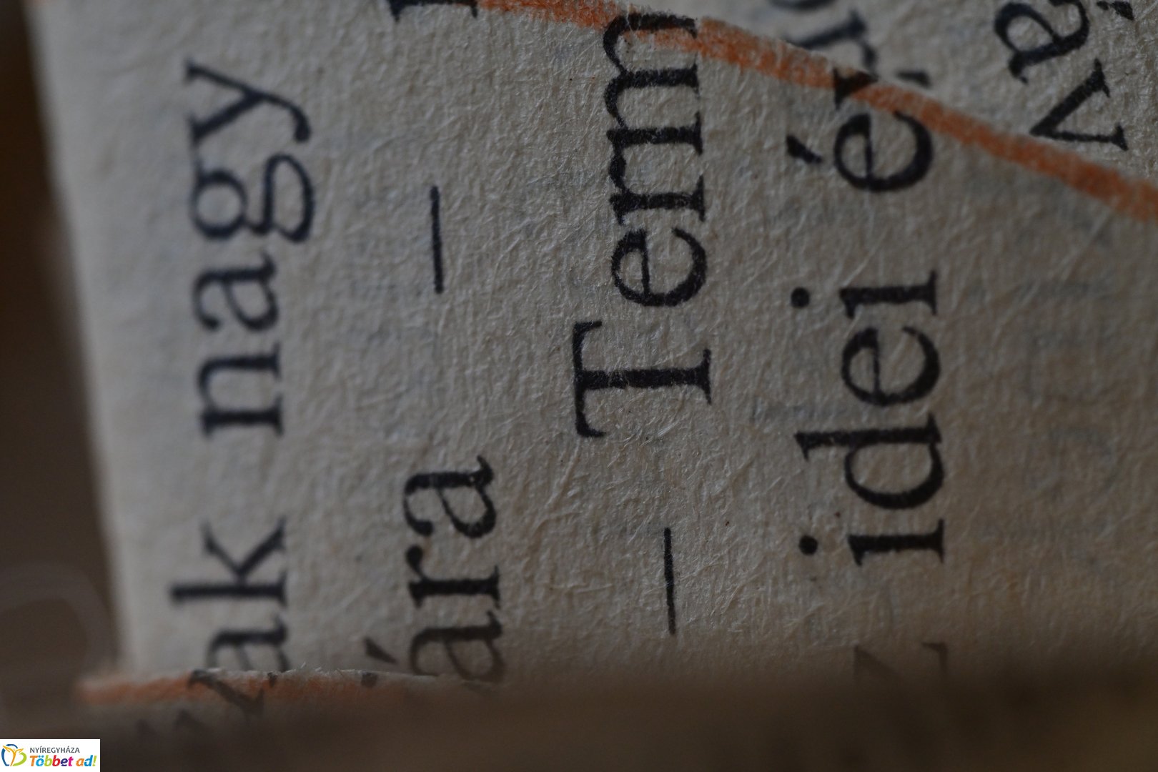 Ünnepi Könyvhét a Móricz Zsigmond Könyvtárban - 2025