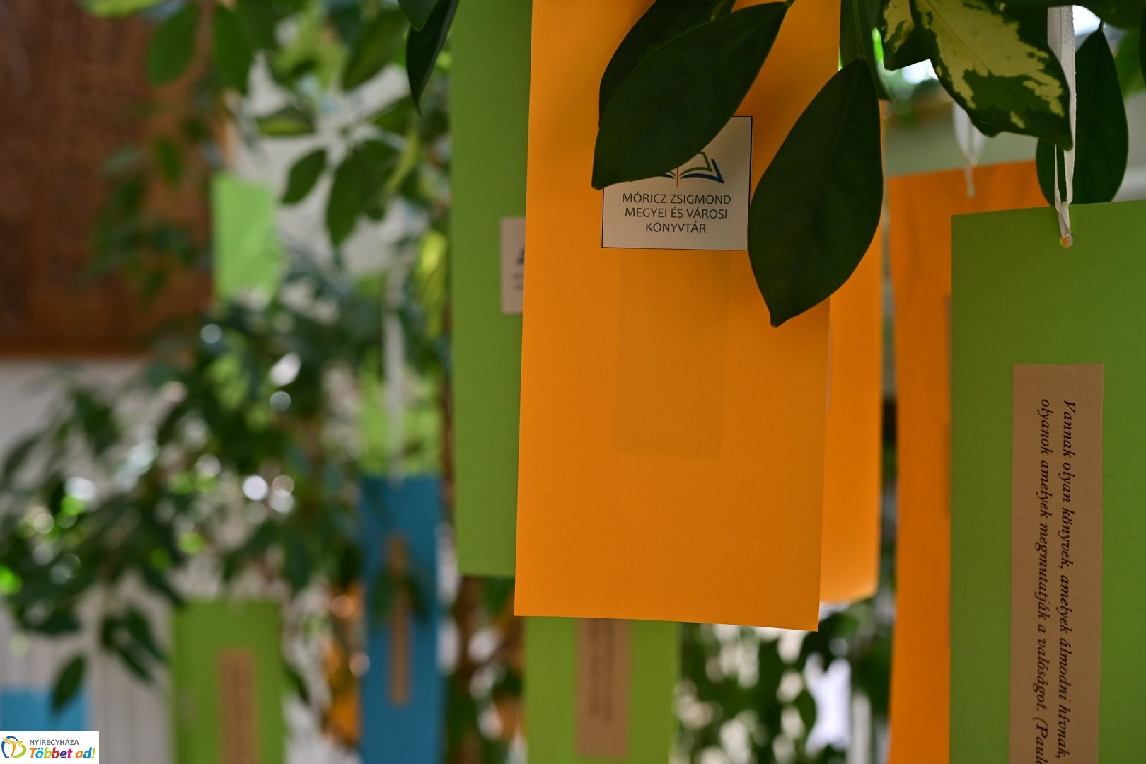Ünnepi Könyvhét a Móricz Zsigmond Könyvtárban - 2025