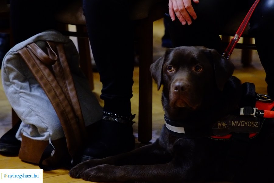 Ünnepi műsor gyengén látóknak 2022