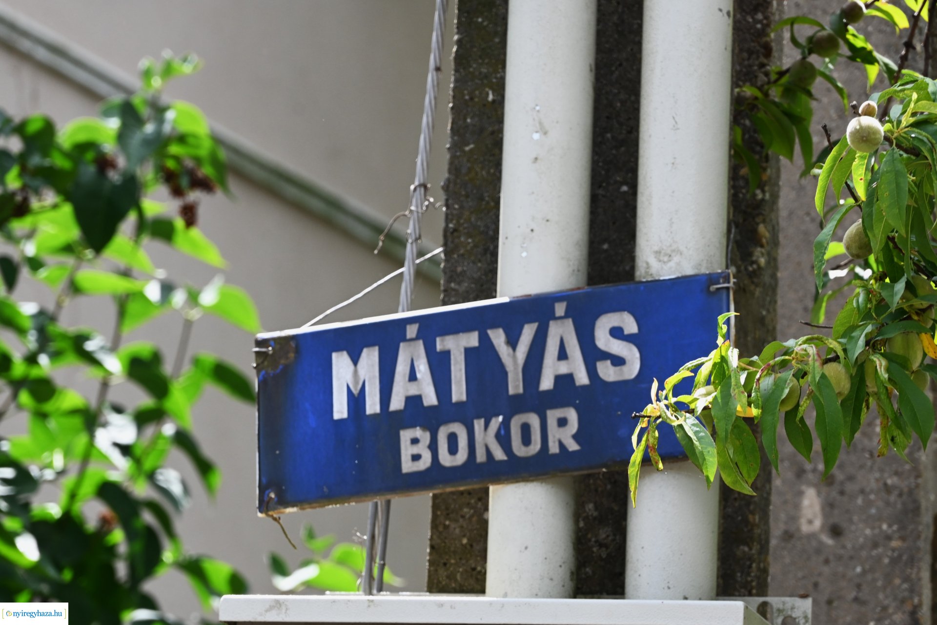 Útfejlesztés Csernyikbokor és Mátyásbokor határában 