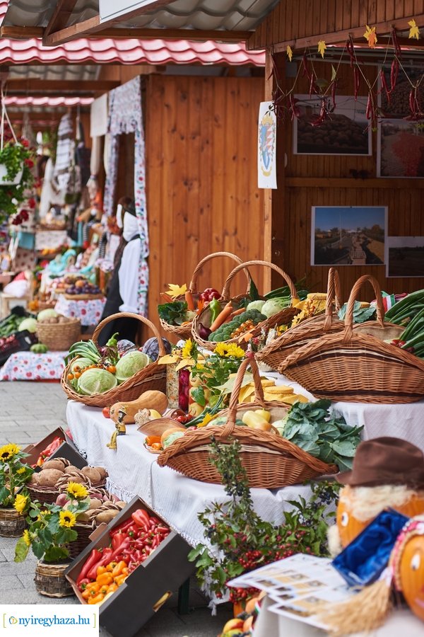 V. Közfoglalkoztatási Kiállítás és Vásár 2021