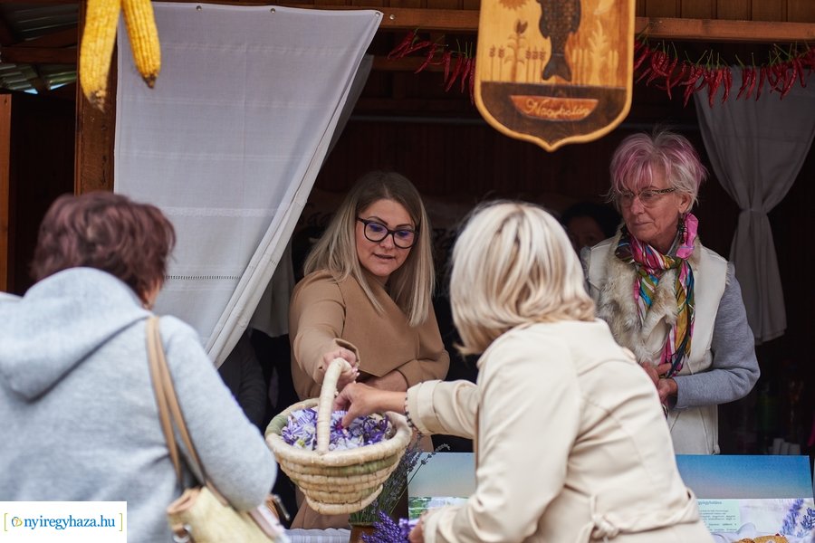 V. Közfoglalkoztatási Kiállítás és Vásár 2021