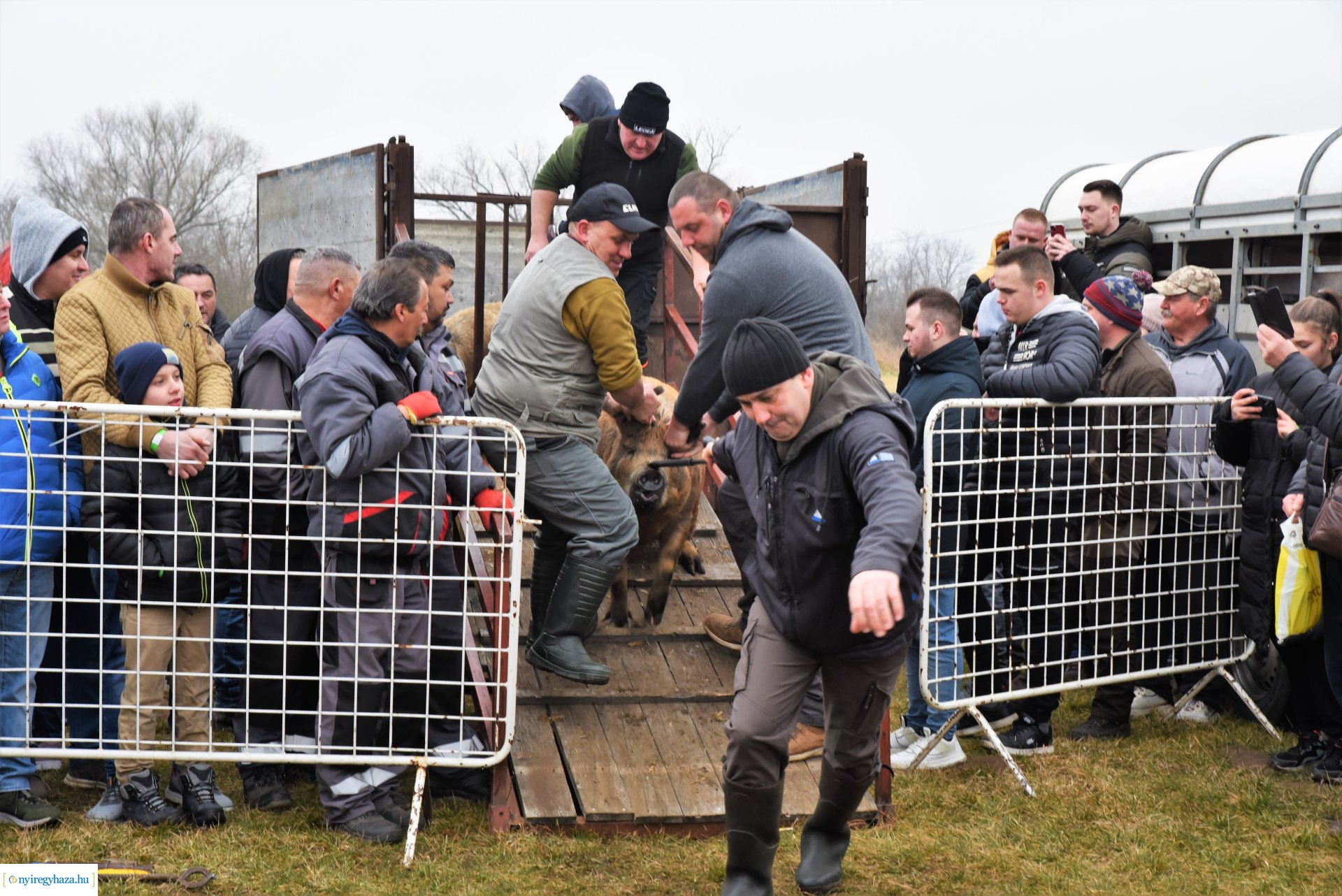 V. Nyírségi Disznótoros Fesztivál - 1