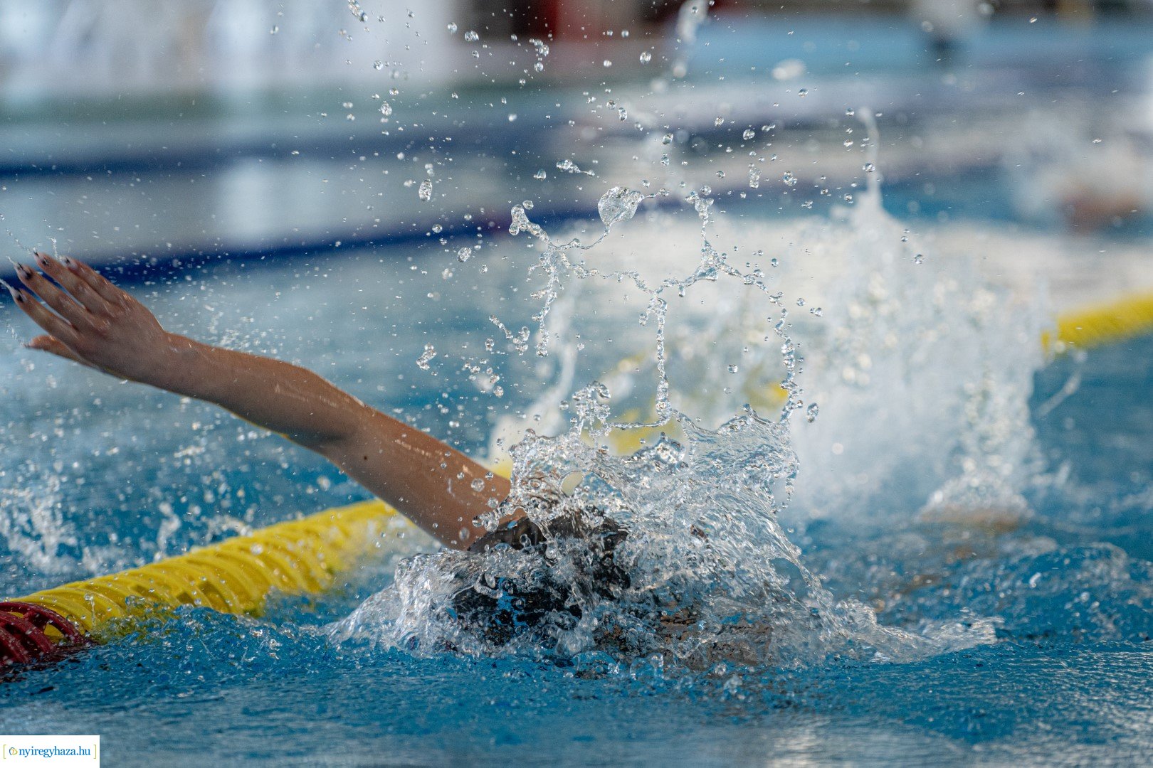 V. NYSC kupa Úszóverseny 