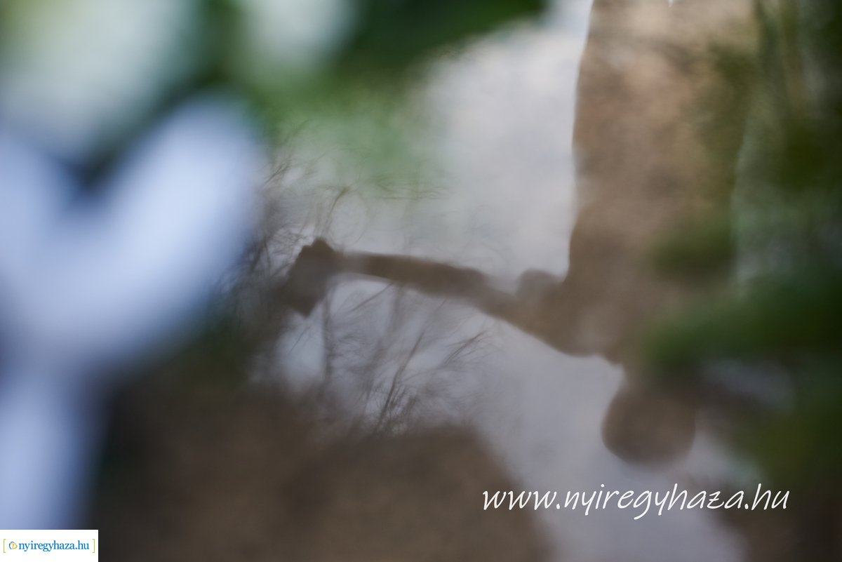 Váci Mihályra emlékeztek 2019