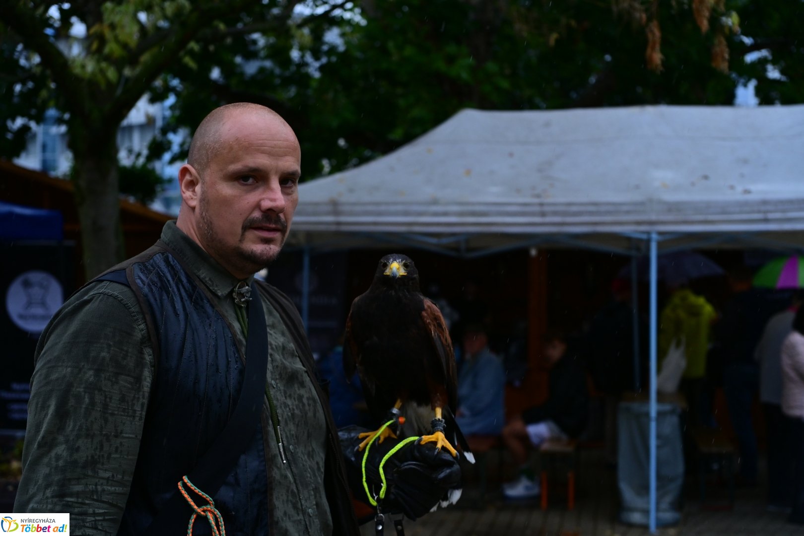 Vadgasztronómiai Fesztivál 2025