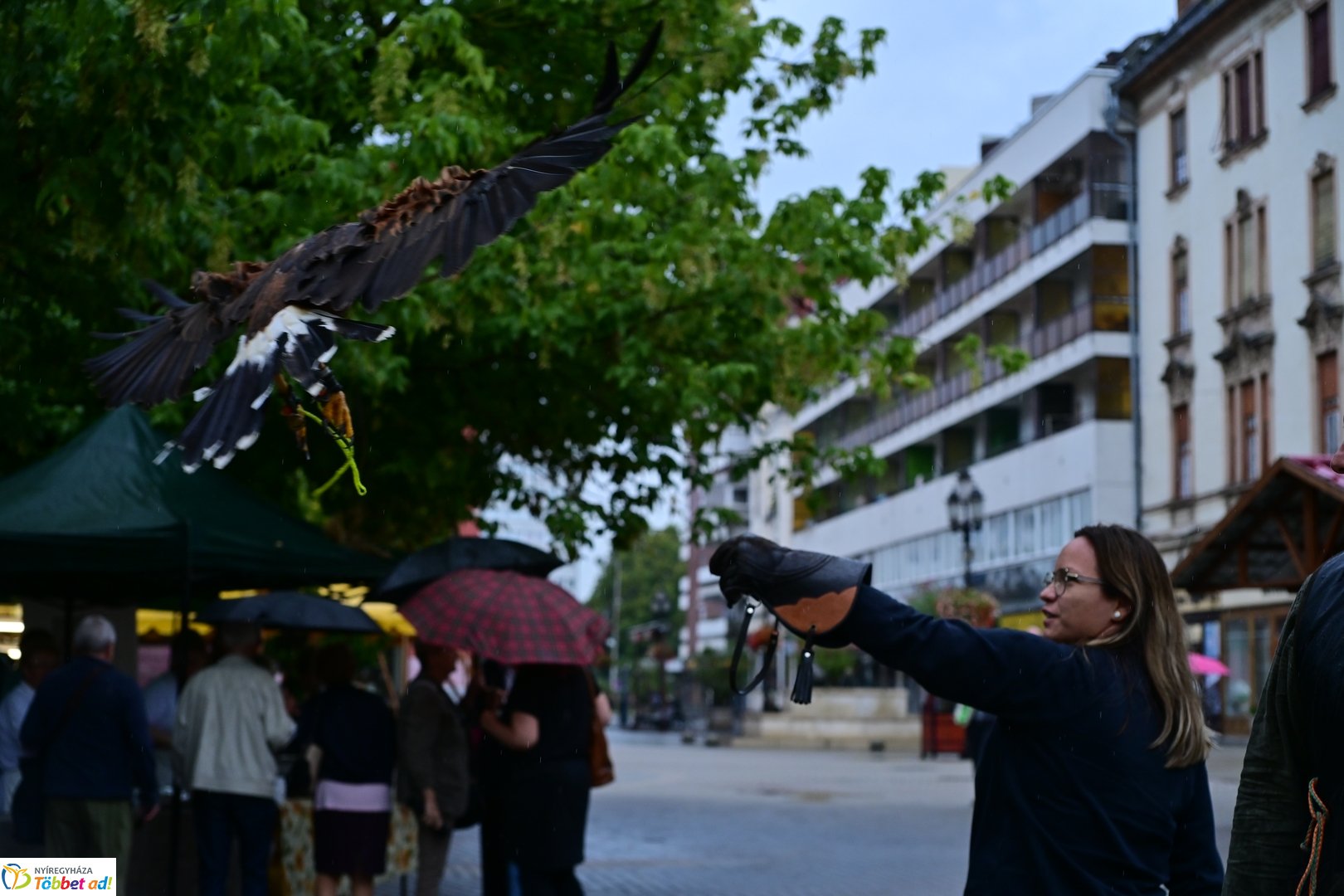 Vadgasztronómiai Fesztivál 2025