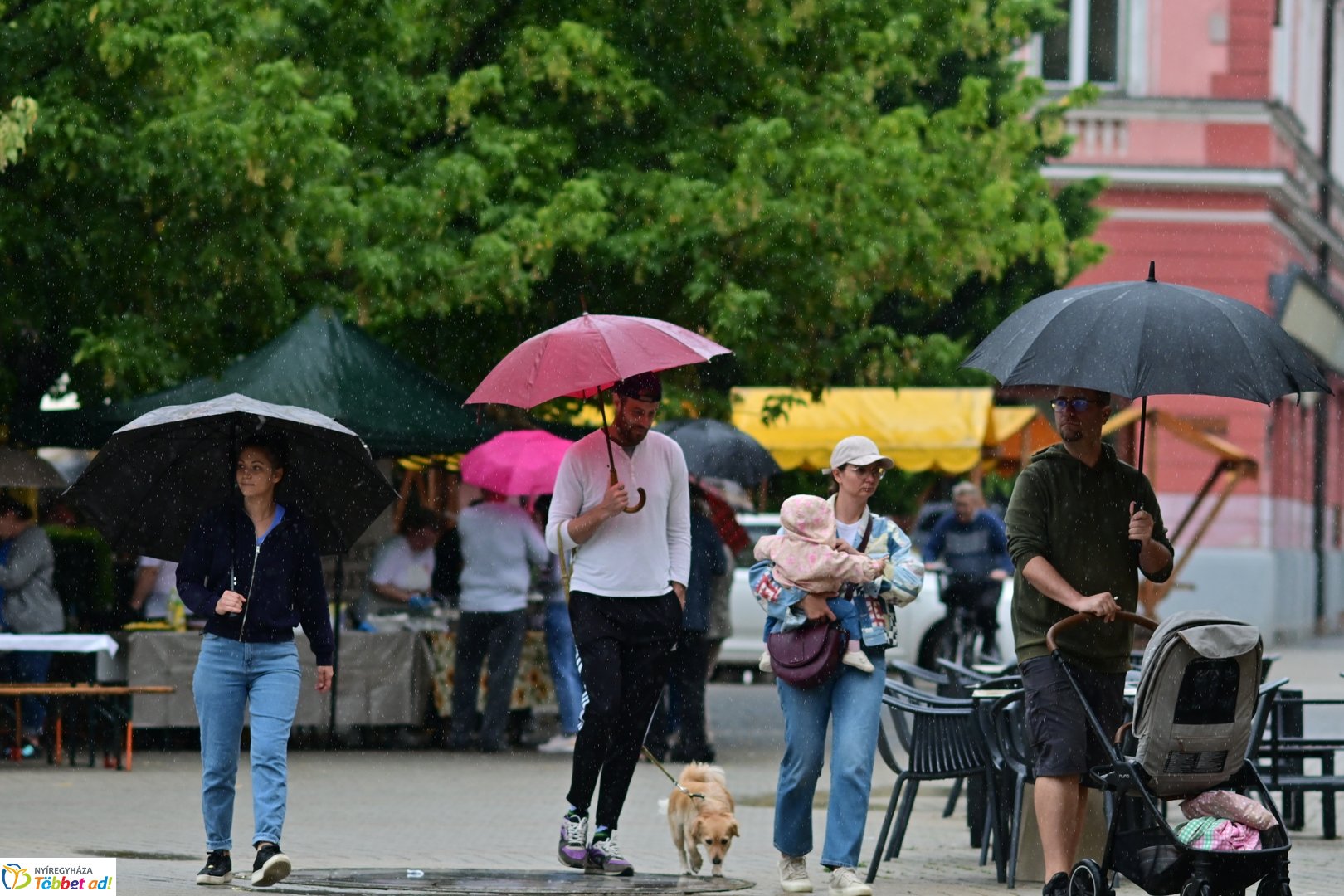 Vadgasztronómiai Fesztivál 2025