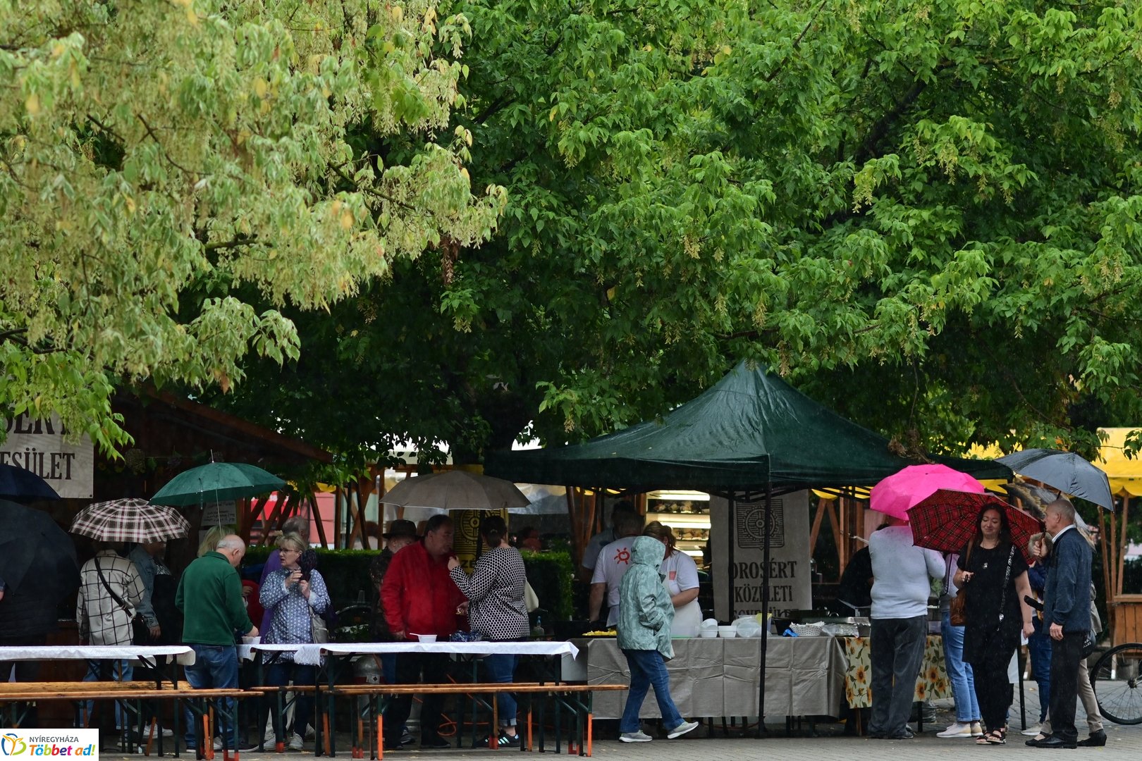 Vadgasztronómiai Fesztivál 2025