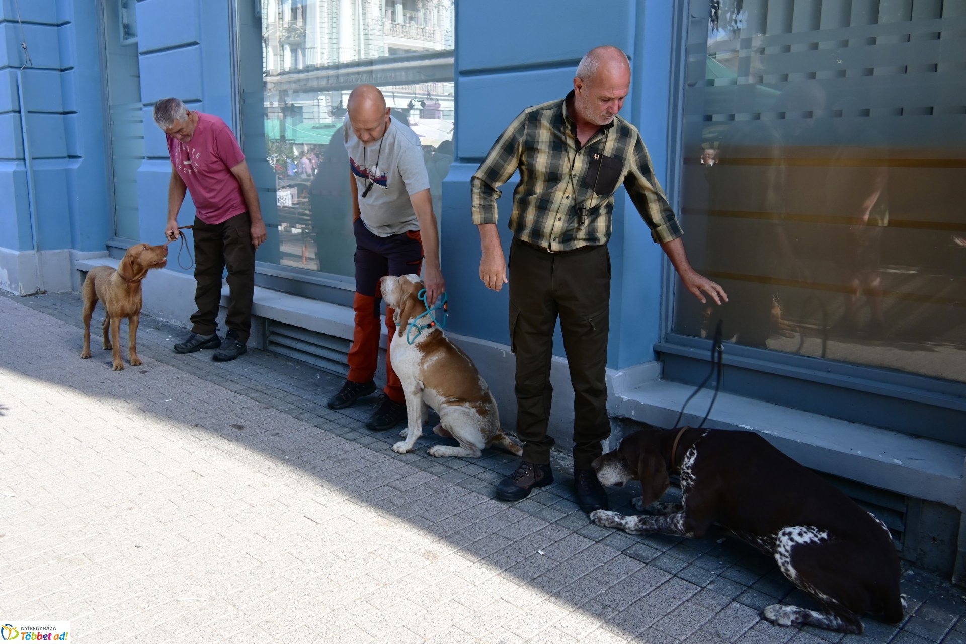 Vadgasztronómiai Fesztivál Nyíregyházán