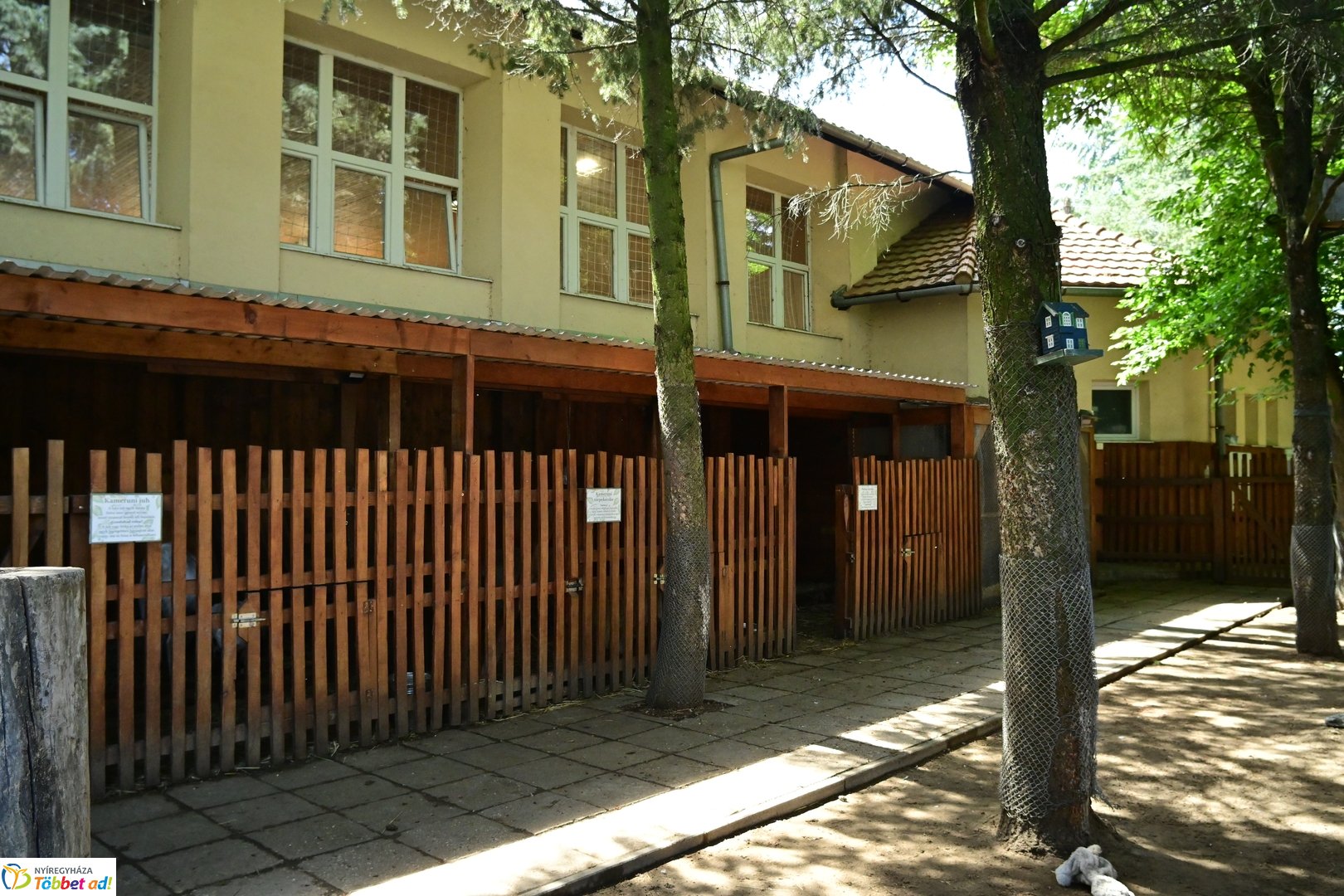 Vakáció előtt a sóstóhegyi iskolában - 2026