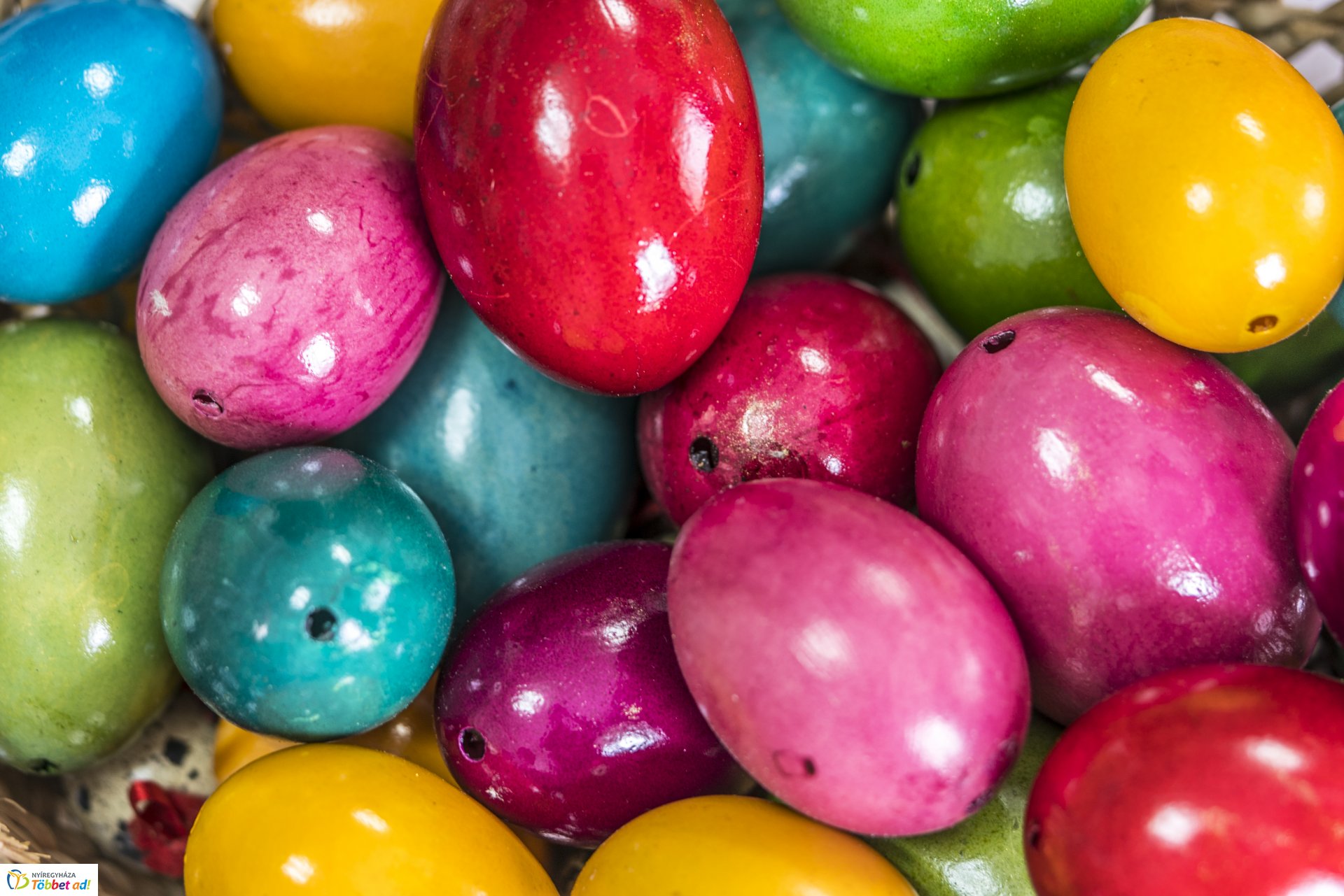 Varázs tojás, hímes tojás kiállítás