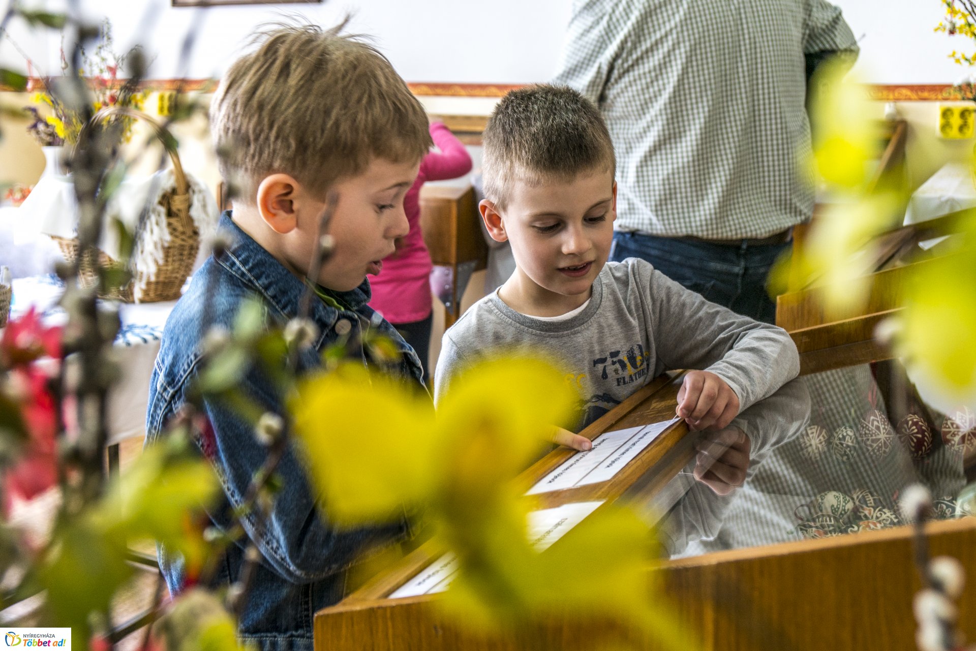 Varázs tojás, hímes tojás kiállítás