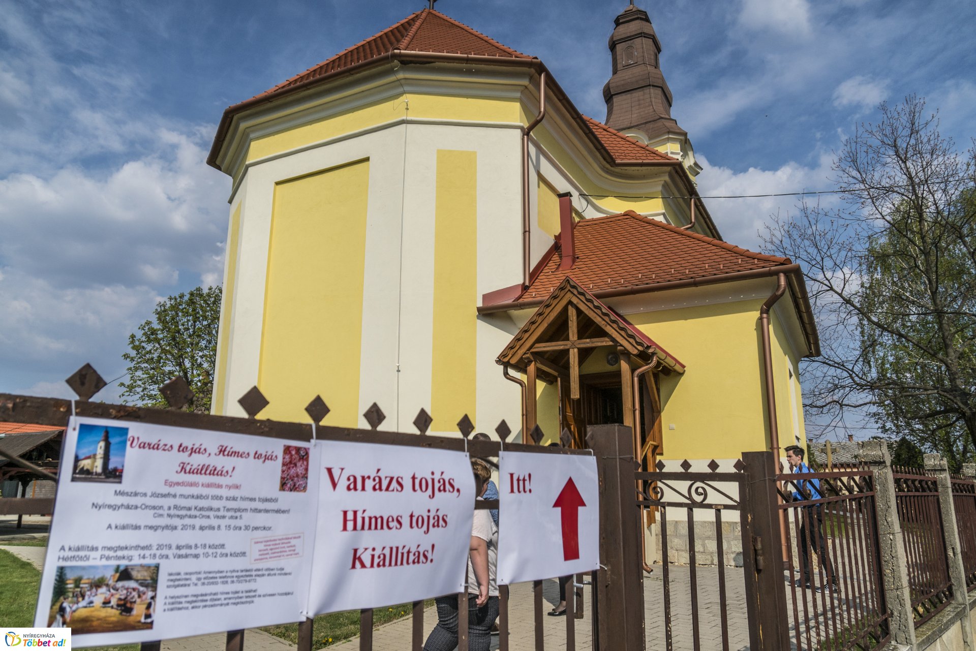 Varázs tojás, hímes tojás kiállítás