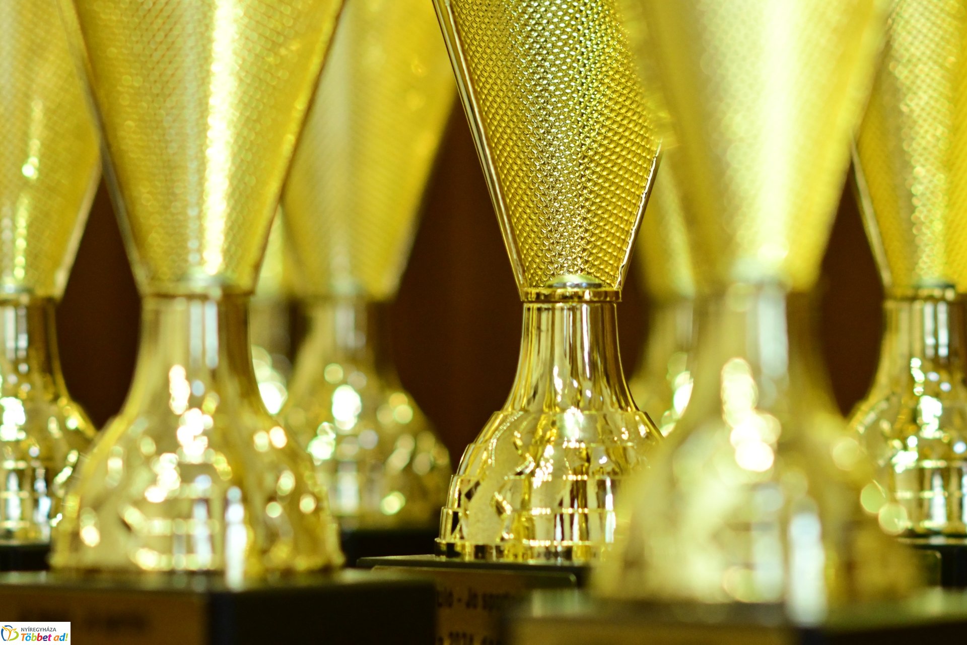 Elismeréseket adtak át a Vármegyei Diáksport Gálán