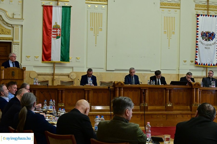 Vármegyei közgyűlés