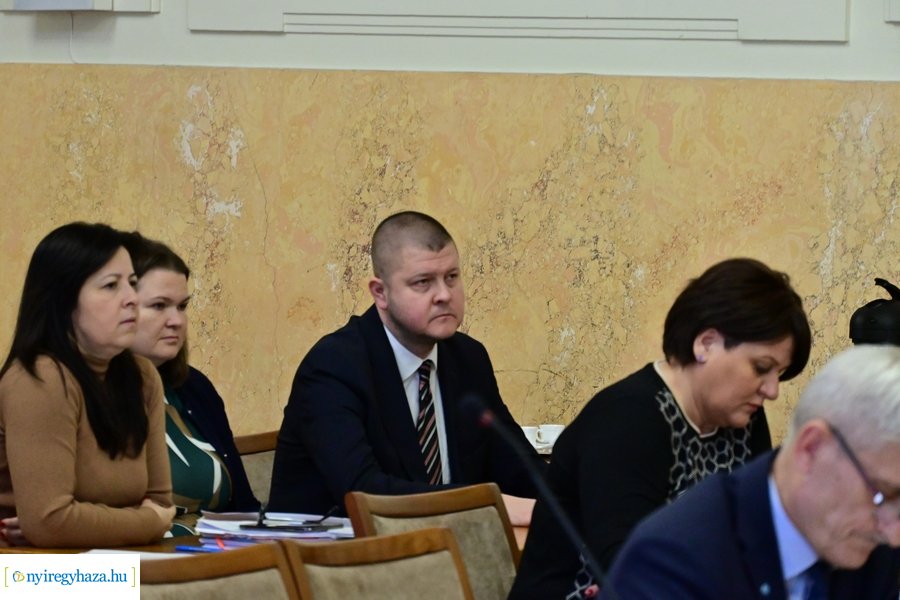 Vármegyei közgyűlés