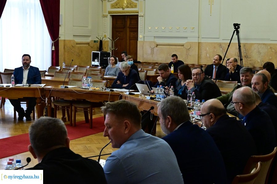 Vármegyei közgyűlés