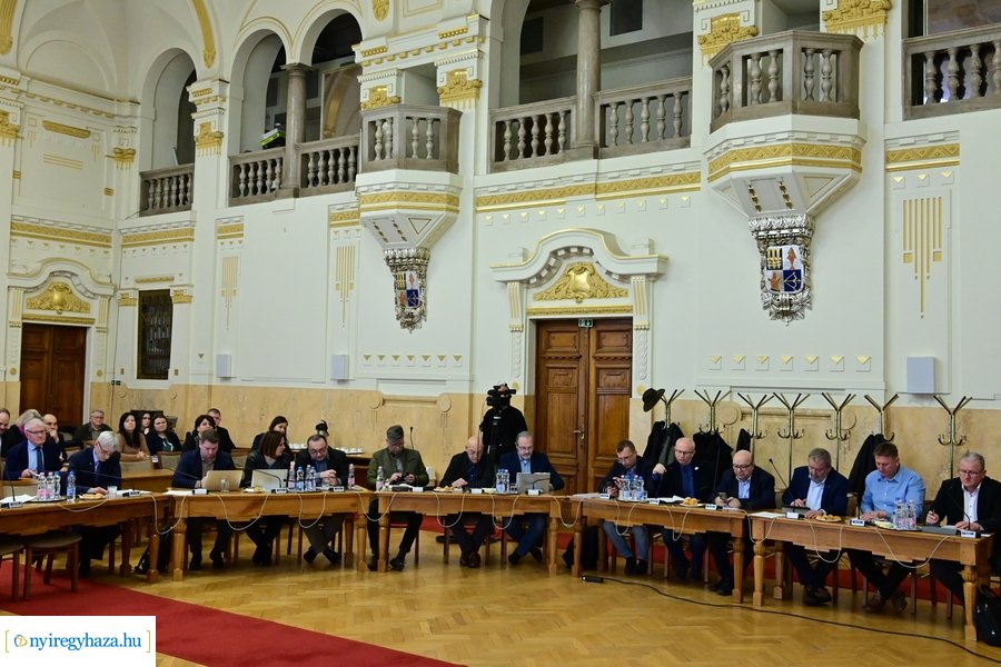 Vármegyei közgyűlés