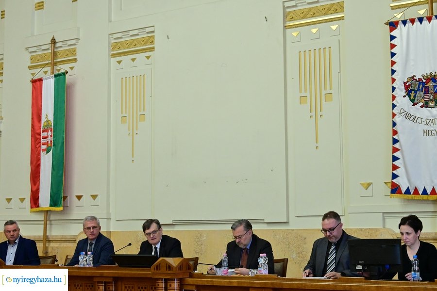 Vármegyei közgyűlés