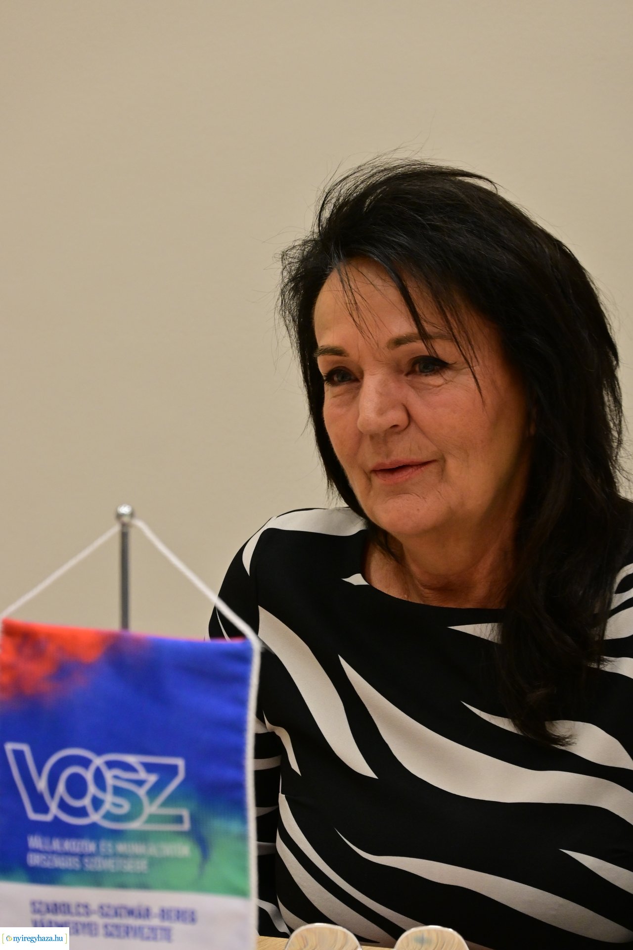 Vármegyei Príma díj 2024 beharangozó