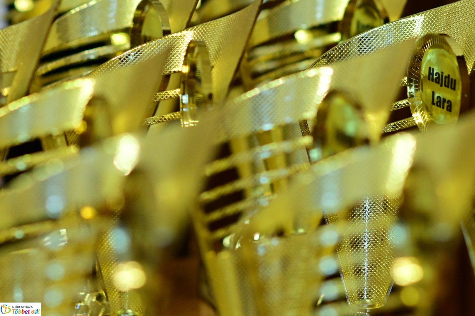 Vármegyei Sportgála a Megyeházán 2025