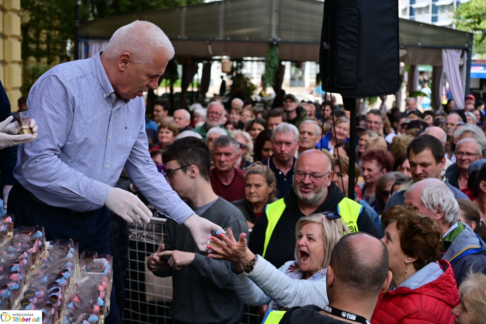 Város tortája 2025