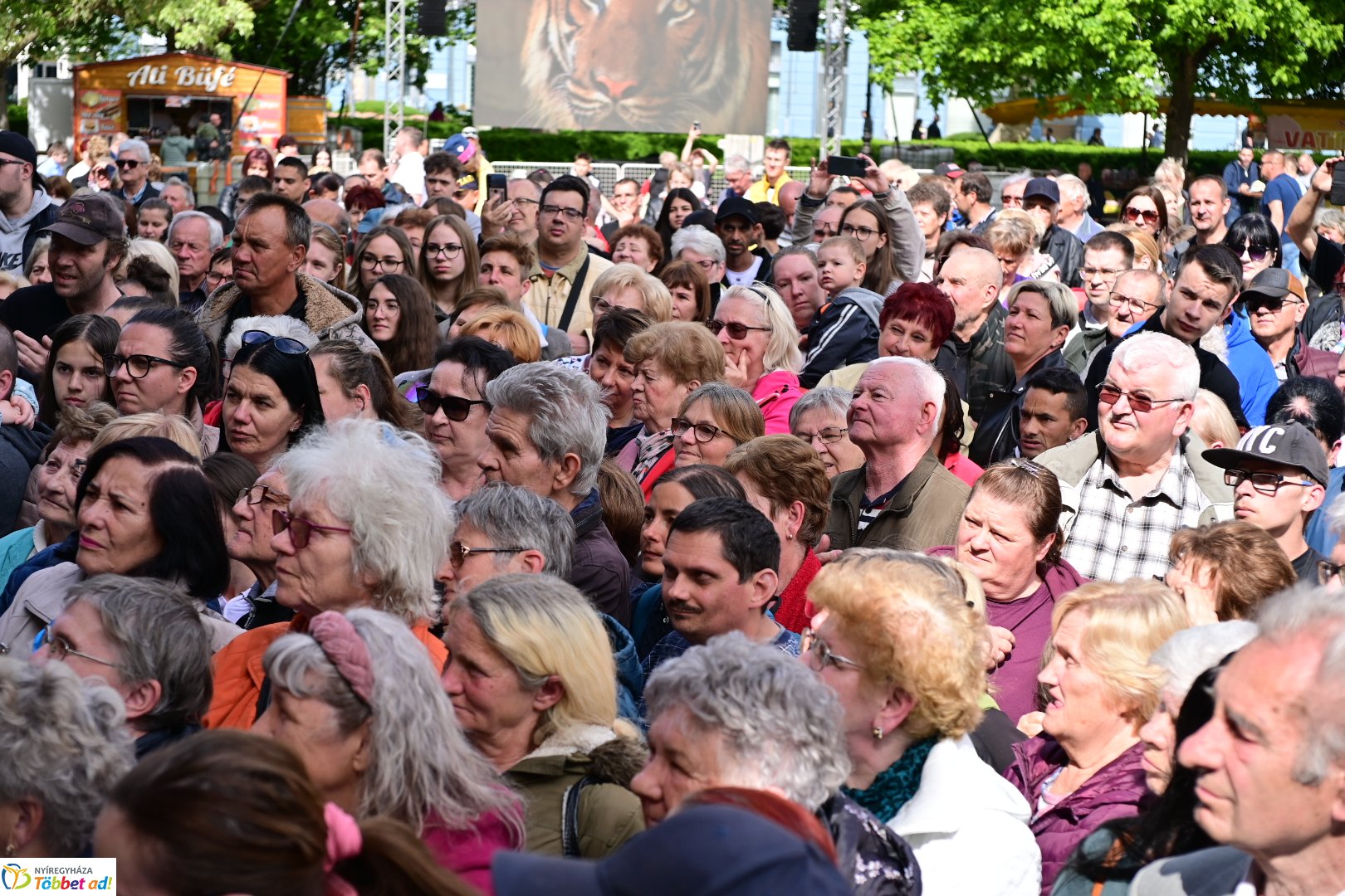 Város tortája 2025