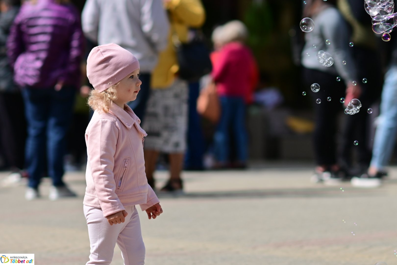 Város tortája 2025