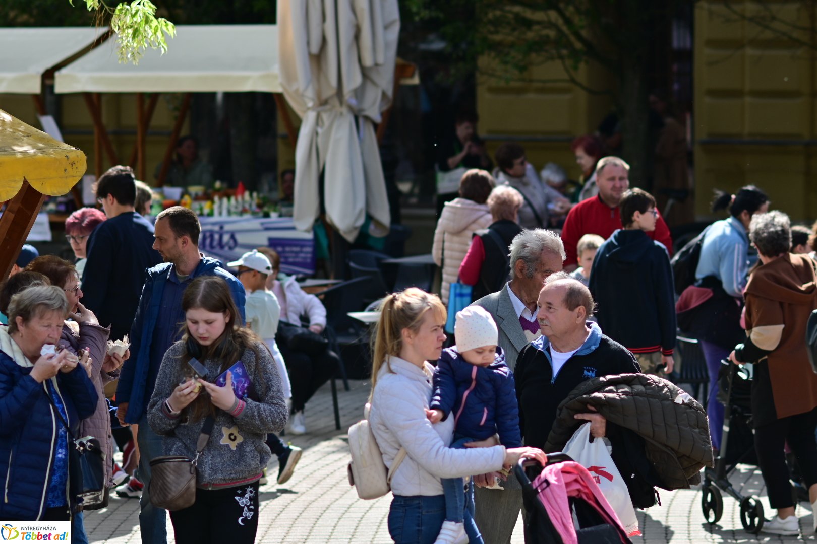 Város tortája 2025