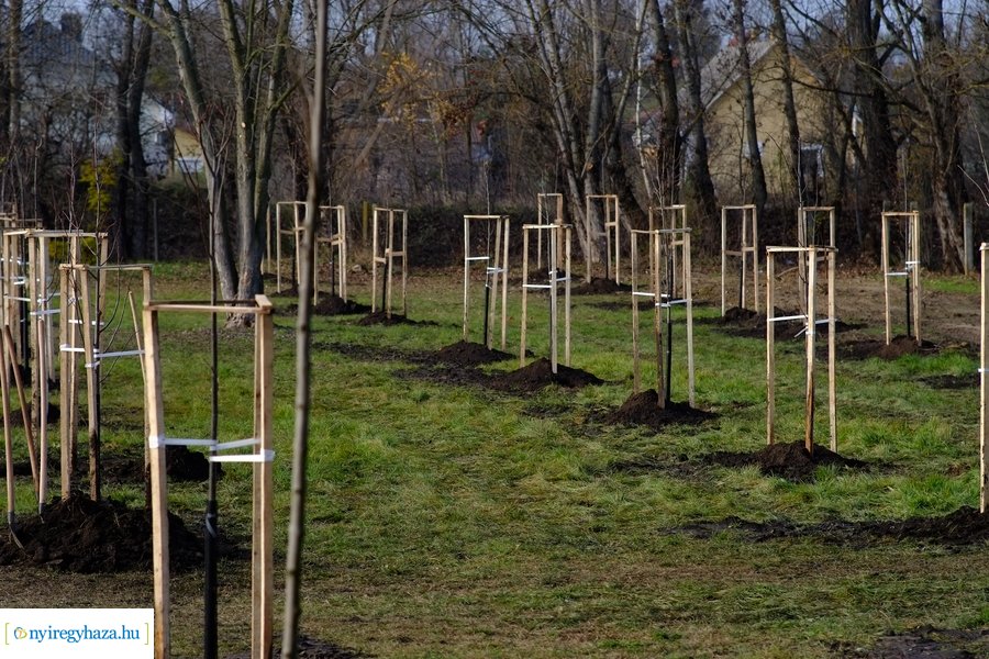 Városfa program és útfejlesztés Nyírszőlősön