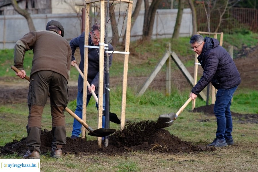 Városfa program és útfejlesztés Nyírszőlősön
