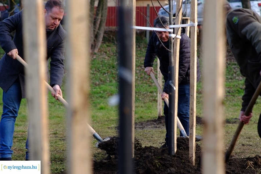 Városfa program és útfejlesztés Nyírszőlősön