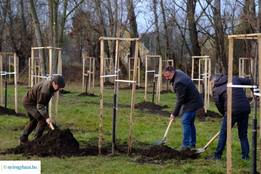 Városfa program és útfejlesztés Nyírszőlősön
