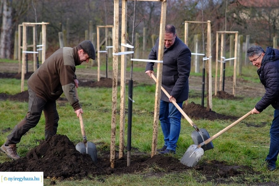 Városfa program és útfejlesztés Nyírszőlősön