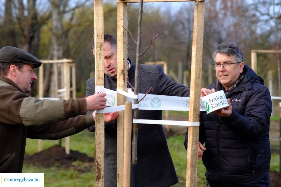 Városfa program és útfejlesztés Nyírszőlősön