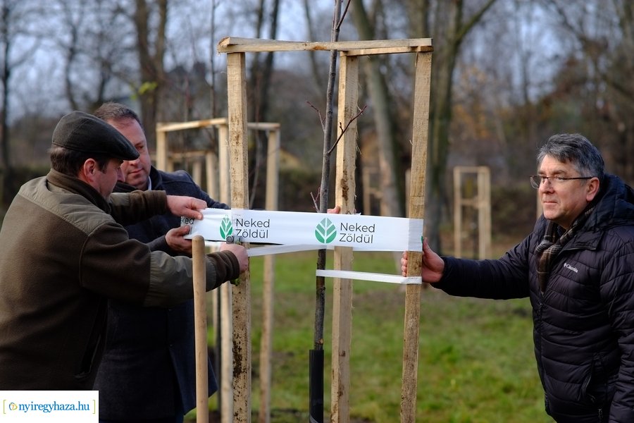 Városfa program és útfejlesztés Nyírszőlősön