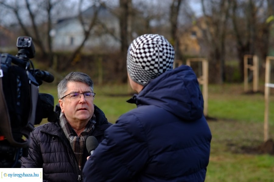 Városfa program és útfejlesztés Nyírszőlősön