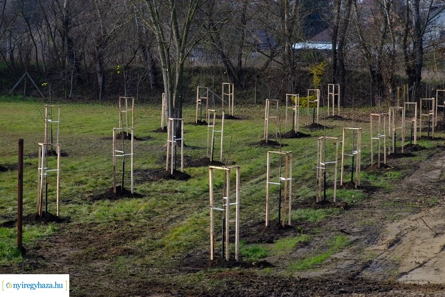 Városfa program és útfejlesztés Nyírszőlősön