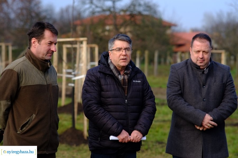 Városfa program és útfejlesztés Nyírszőlősön