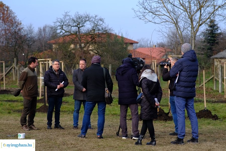 Városfa program és útfejlesztés Nyírszőlősön