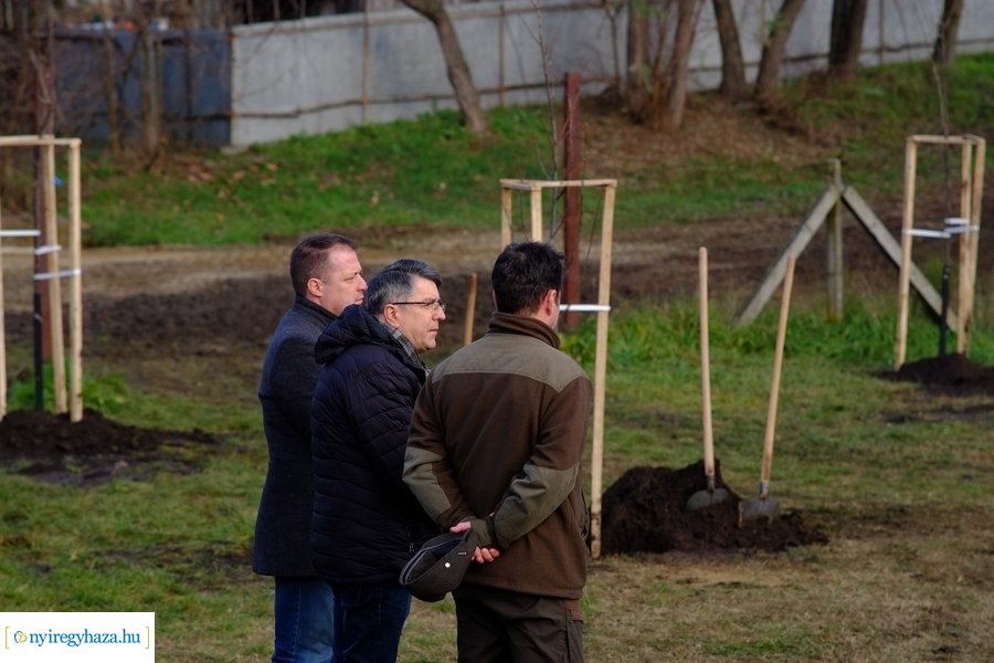 Városfa program és útfejlesztés Nyírszőlősön