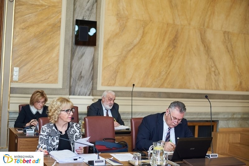 Városi közgyűlés 2019-02