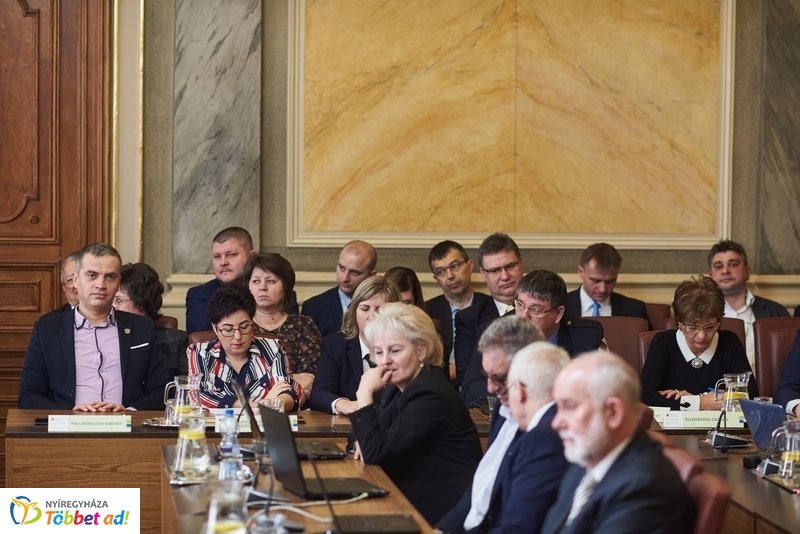 Városi közgyűlés 2019-02