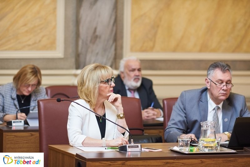 Városi Közgyűlés 20190228