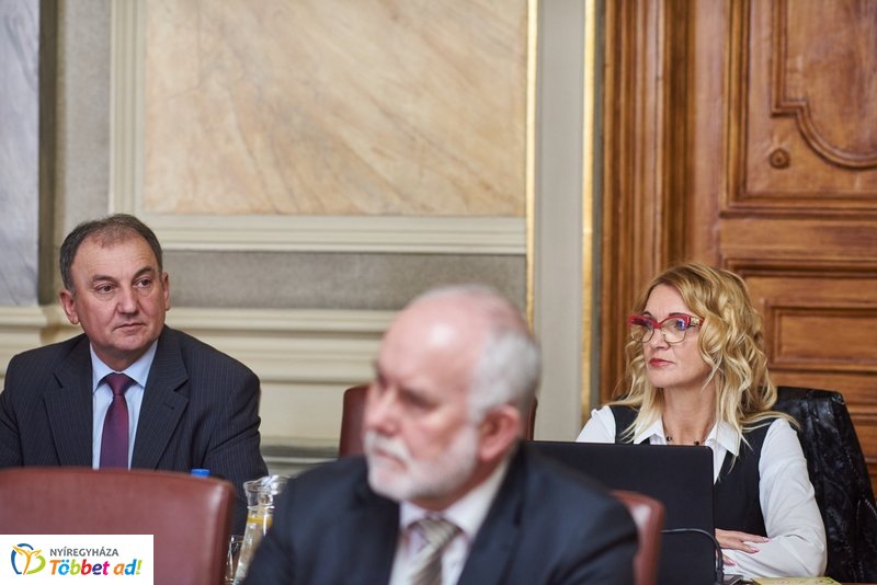 Városi Közgyűlés 20190328